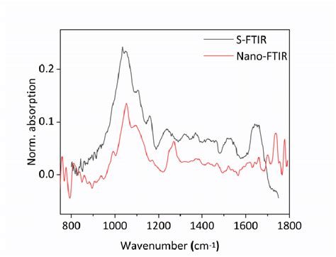 Comparison Of Ftir Spectra Synchrotron Ftir In Black And Nano Ftir