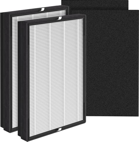 Amazon XBWW 2 Packs Type A2 F2 H13 True HEPA Replacement Filters