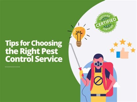 How To Choose The Right Pest Control Service For Your Home