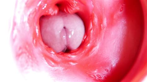 A Big Red Cock Inside A Juicy Hole Can Give Sperm At Any Moment Gay Porn XHamster
