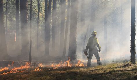 Sueldo de un bombero forestal cuánto cobra este especialista