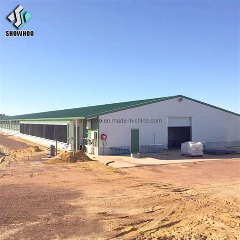 Prefabricated Steel Chicken Prefab Poultry Farm Structures Shed