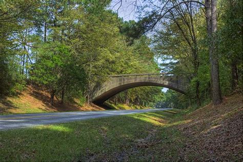 Natchez Trace Parkway Scenery Kosciusko Mississippi