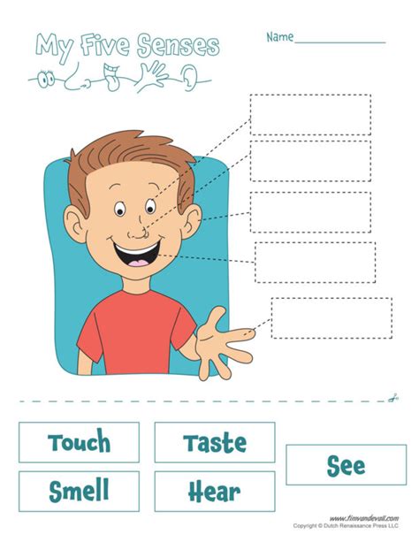 Five Senses Worksheet Tims Printables