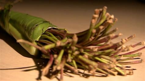 Don T Make Khat A Class C Drug Mps Urge Government Bbc News