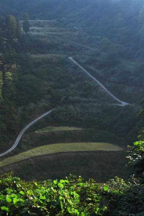 午前8時、いまだ陽の当らない棚田（新潟県長岡市半蔵金） 越後長岡発／建築・風景写真