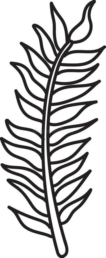 A Leafy Plant With A Black Outline Stock Vector Illustration Of Flora