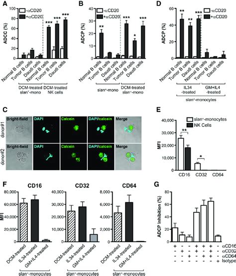 Adcc Adcp And Expression Of Fcgrs By The Various Slan Cell Types