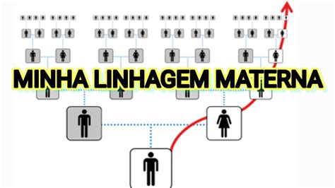 ORIGEM MATERNA PELO DNA MITOCONDRIAL YouTube