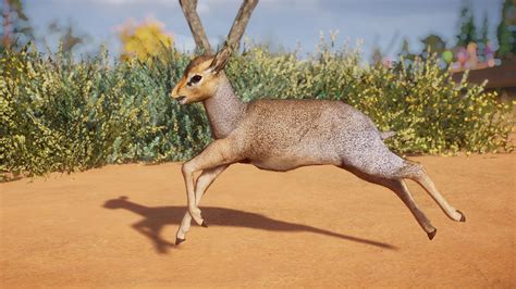 Kirks Dik Dik New Species 113 At Planet Zoo Nexus Mods And