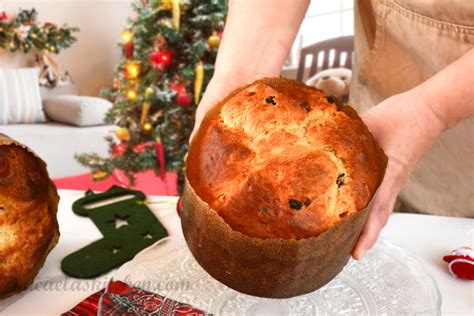 Perfectly Fluffy Homemade Panettone No Mixer Needed Video Micaela