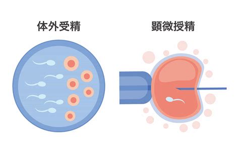 不妊治療：tawara Ivf Clinic：静岡市の不妊治療専門病院 俵ivfクリニック