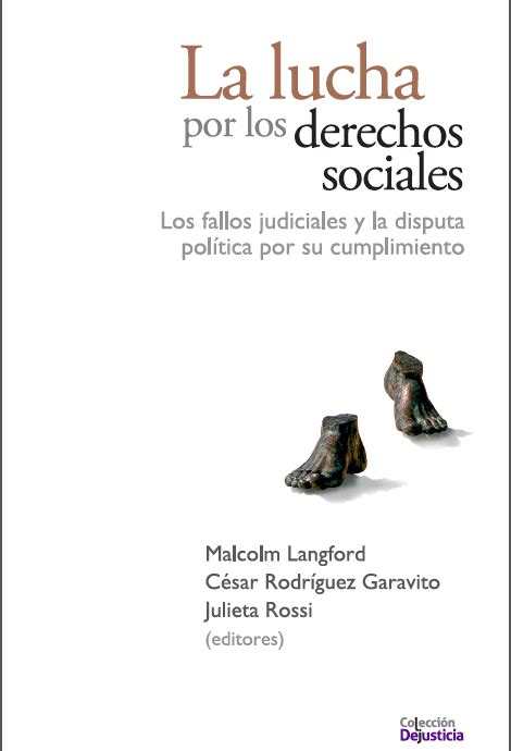 La Lucha Por Los Derechos Sociales Dejusticia