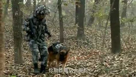 我是特种兵之利刃出鞘：李二牛制服军犬，居然升级当了“狗爸爸” 腾讯视频