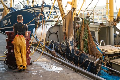 Marin pêcheur comment se former à ce métier Trajectoire vers l emploi