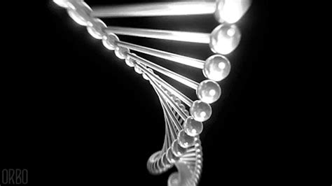 25 Great DNA Gif Animation Images - Best Animations