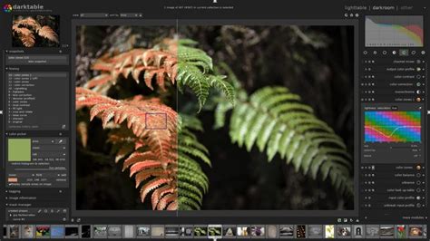 17 Best Free Alternatives To Photoshop In 2024 Skylum Blog