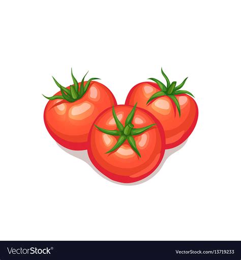 Tomatoes Icon Isolated Royalty Free Vector Image