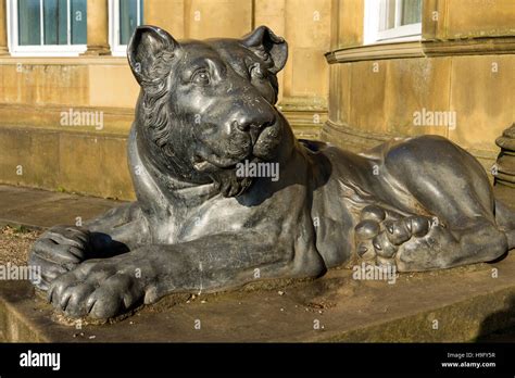 Statue Of A Lion At Heaton Hall Heaton Park Manchester England Uk