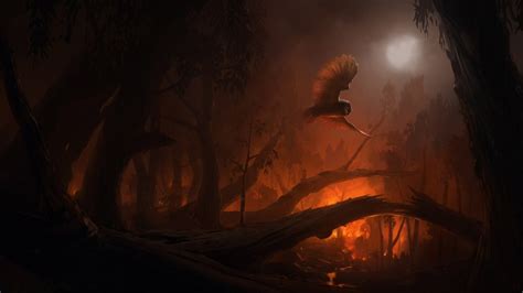 Wallpaper Forest Fire Cave Owl Formation Darkness Screenshot