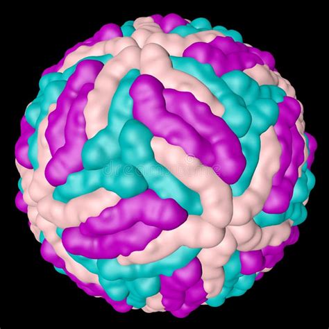 Dengue Virus Which Causes Yellow Fever Stock Illustration