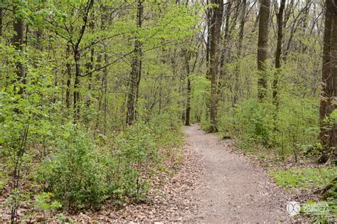 Kultowe dąbrowskie miejsca rekreacji w czasach pandemi Park Podlesie