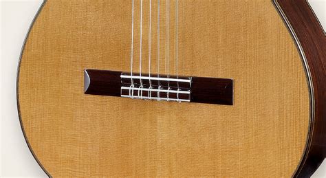 Mx 7c Dr Classical Montoyaguitar