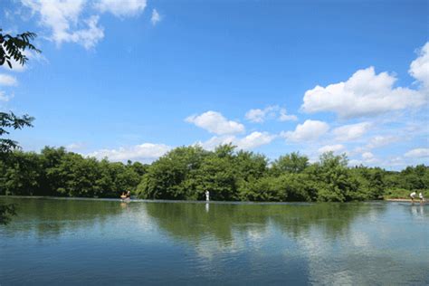 「江西是個好地方——福地吉安」泰和縣：烏雞之鄉，養生天堂 每日頭條