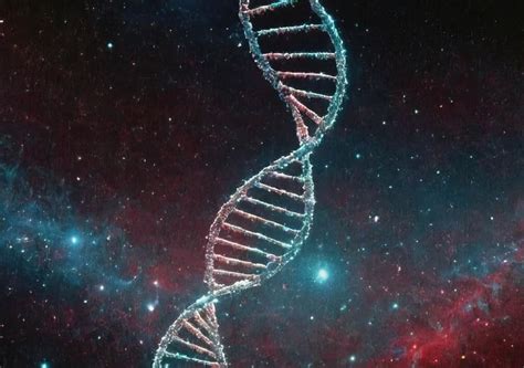 3 Experimentos que Explicam a Conexão entre o DNA Humano e o Universo