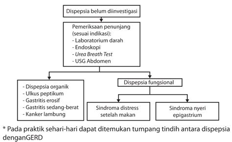 Sindrom Dispepsia Dan Infeksi Helicobacter Pylori Kedokteran Caiherang