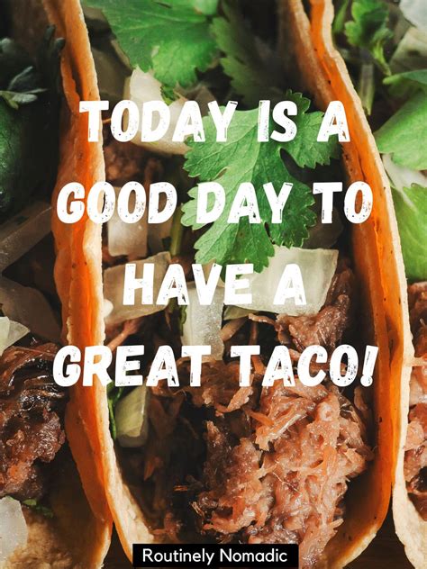 Tasty Taco Captions Routinely Nomadic