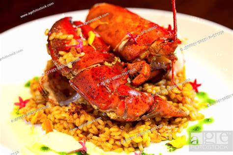 Lobster Paella Stock Photo Picture And Rights Managed Image Pic Sfd