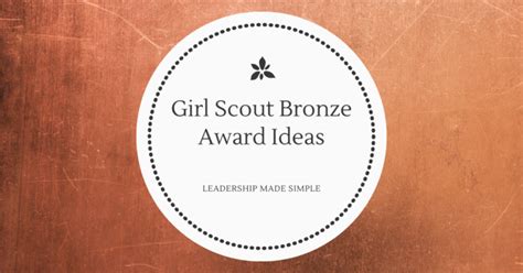 Girl Scout Bronze Award Ideas