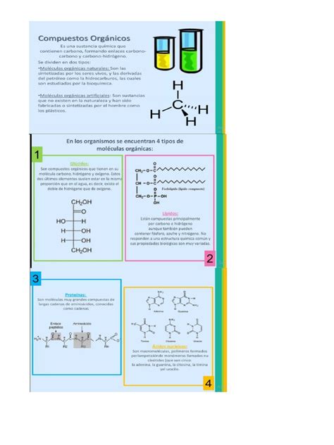 Compuestos Organicos 3 | PDF