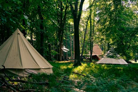 Britains Best Forest And Adventure Camps For Children