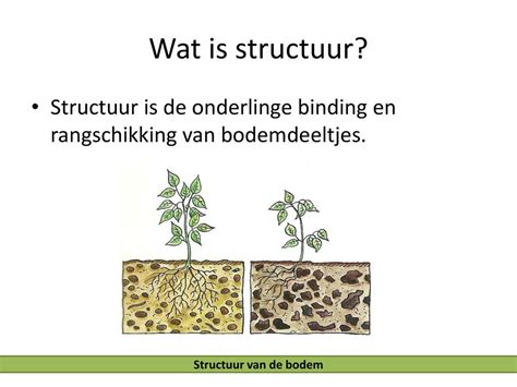 Bodemkunde Les Tom Lievense De Bodem Structuur Van De Bodem Ppt