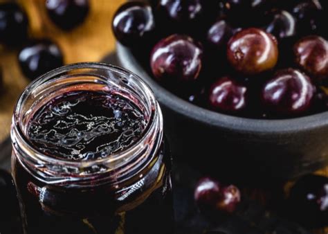 Como Tirar O Amargo Da Geleia De Jabuticaba - Como tirar o amargo da geleia de jabuticaba? - Marmitex de Sucesso
