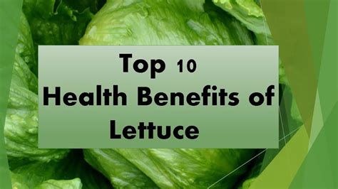 Top 10 Health Benefits Of Lettuce Most Amazing Benefits Of Lettuce Youtube