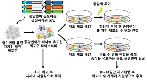 김영광 연세대학교 의과대학 Bric