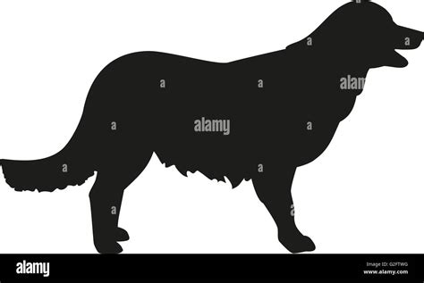 Silhouette Golden Retriever Hi Res Stock Photography And Images Alamy