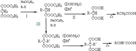 丙二酸二乙酯具有双重α 氢 呈现明显酸性 与卤代烃经下列步骤生成丙二酸类化合物 丙二酸类化合物不稳定 受热脱羧生成相应的一元羧酸 属 反应
