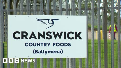 Coronavirus Cullybackey Meat Plant Closes Due To Covid Cluster