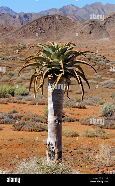 Richtersveld National Park Hi Res Stock Photography And Images Alamy