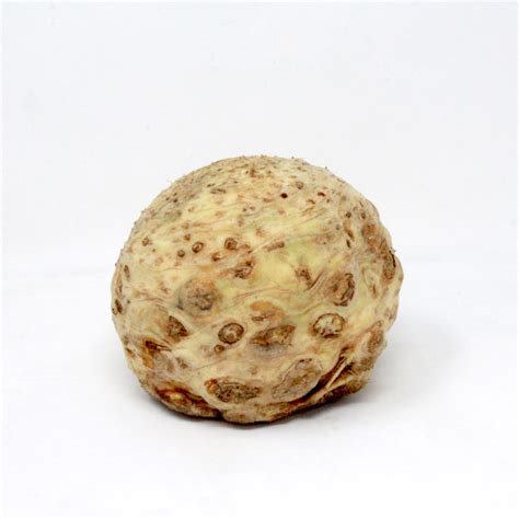 Celeriac - Each - Sunharvest Ltd