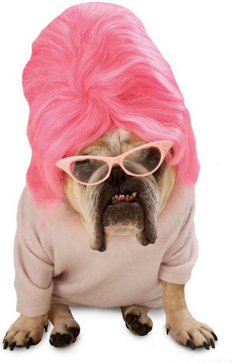 Funny Halloween Dog Costumes - XciteFun.net