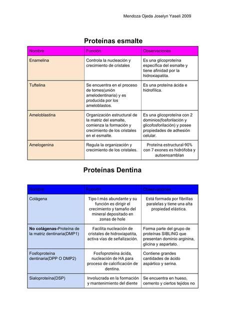 Prote Nas Del Esmalte Joselyn Udocz