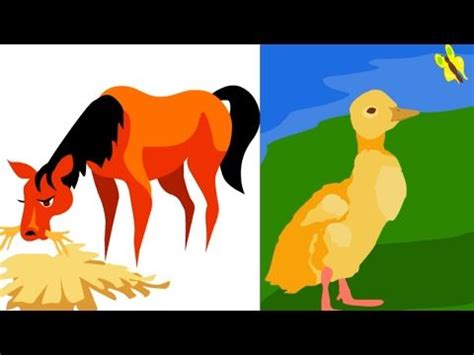 Animals Around the Farm - Animal Sounds for Kids | Kids Learning Videos ...