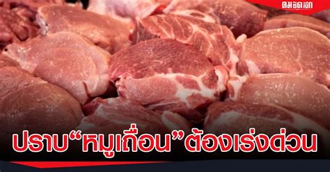 สมาคมผู้เลี้ยงสุกรแห่งชาติ ร้องรัฐเอาจริง แก้ปัญหา หมูเถื่อน คมชัดลึก