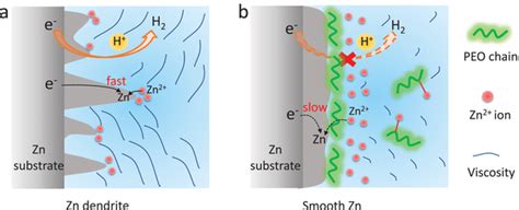 Schematics Of Electrochemical Zn Deposition A Zn Deposition With