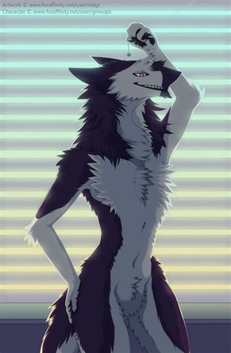 Heres One For Any Sergals On Here Rfurrywallpapers